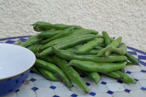 photo of broad beans