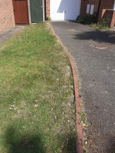 front lawn area