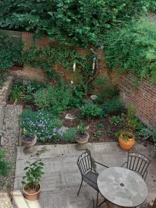 June courtyard