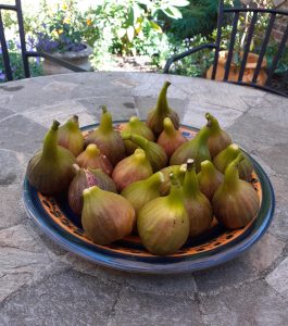 plate of figs